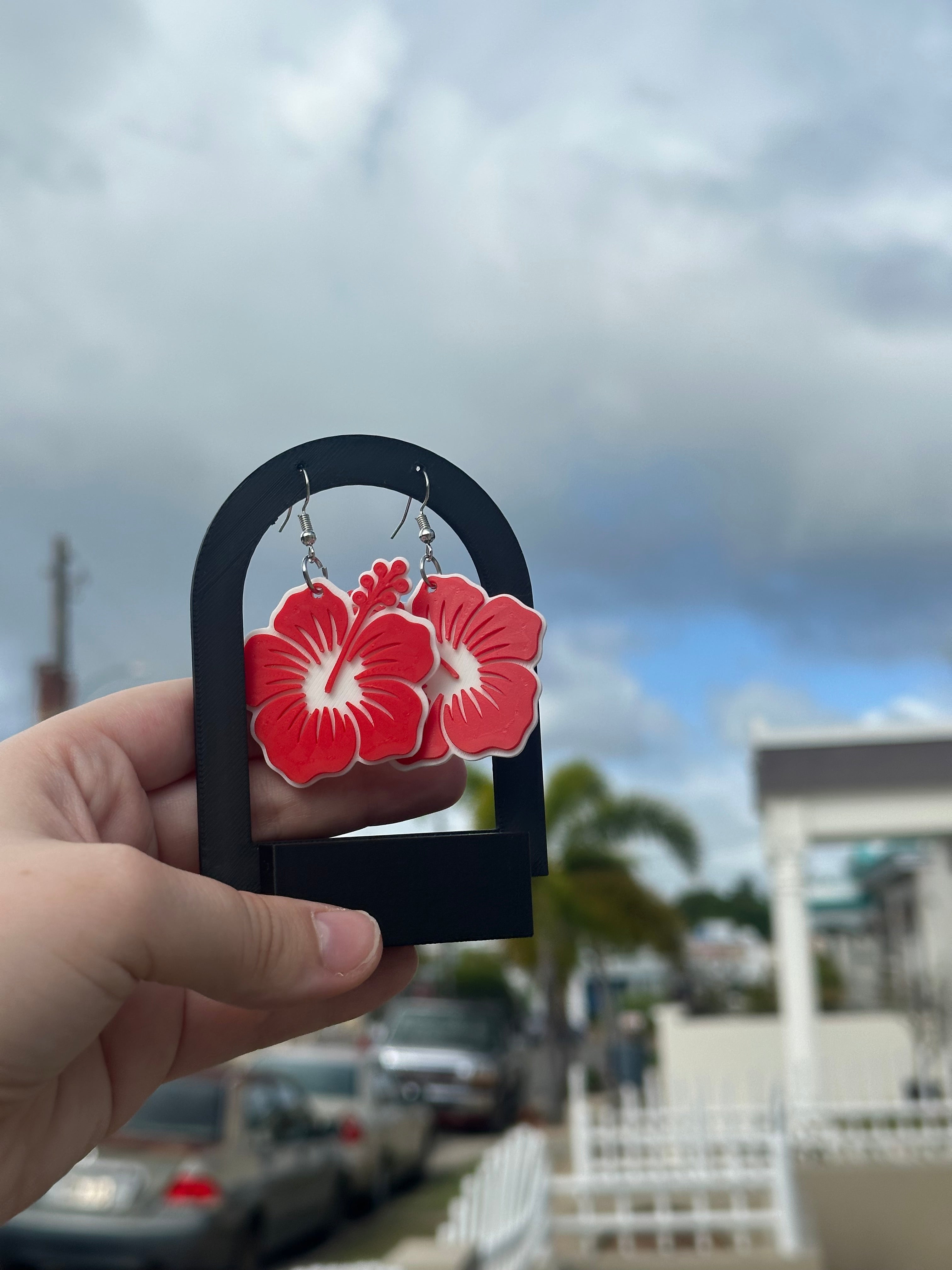 Hibiscos