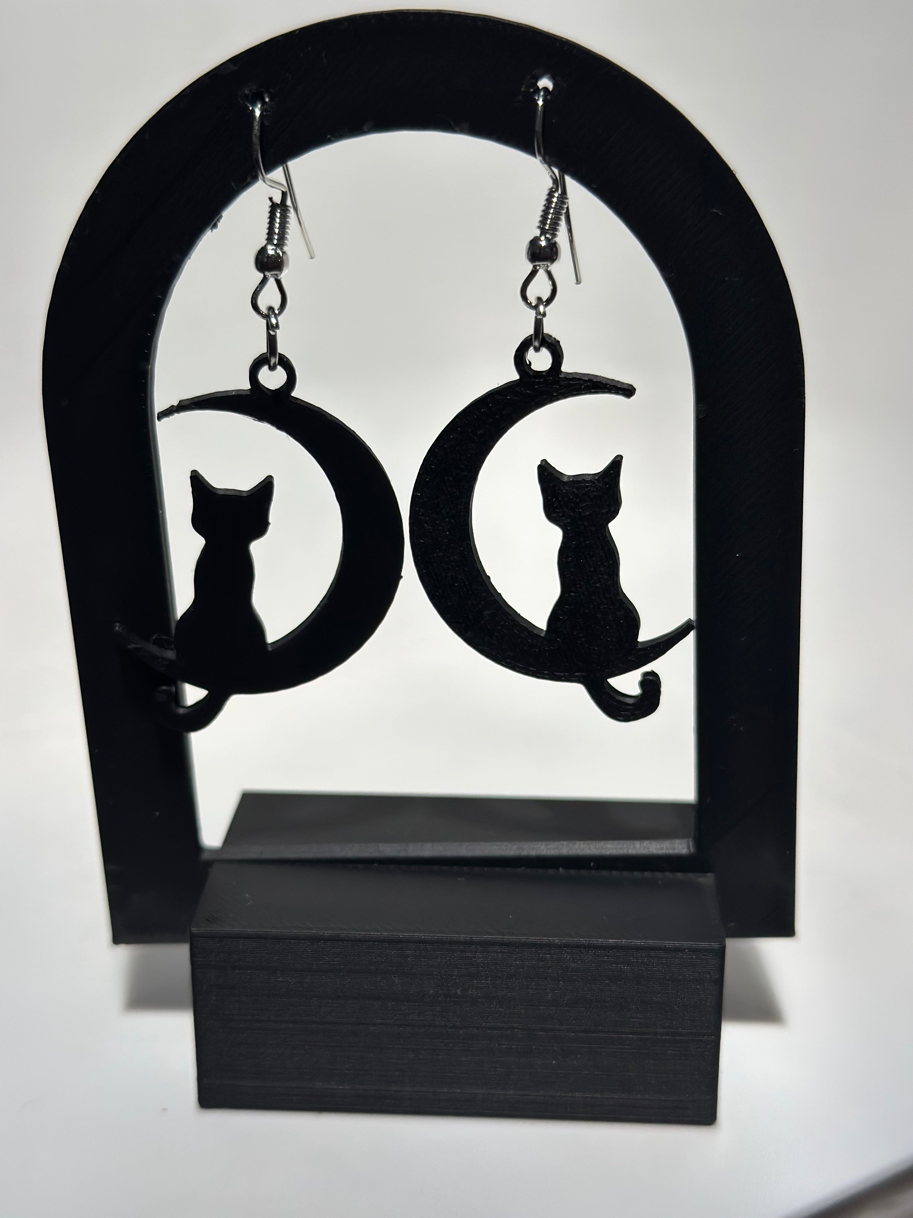 Gato y luna